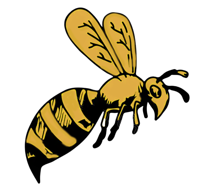 Hornet